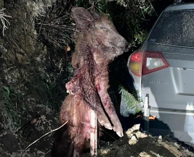 Claims of intimidation and antisocial behaviour in Waipori Falls during recent months included...