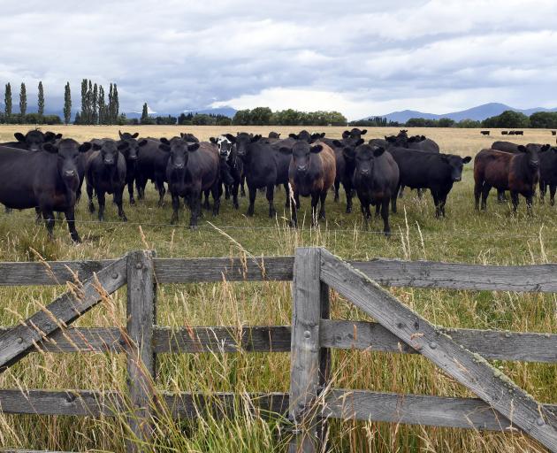 The way New Zealand farms operate is something this country should be proud of. PHOTO: ODT FILES
