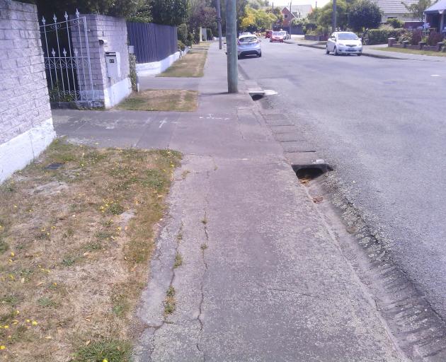 The city council has made its own assessments and decided Ryeland Ave "clearly has cracks". Photo...