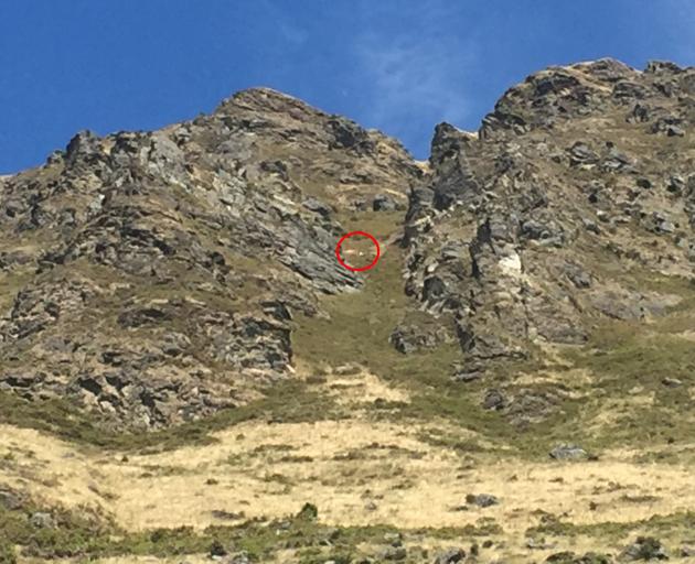 The red circle shows the location where the crash happened. Photo: Gregor Richardson