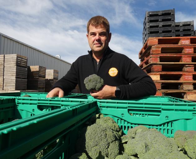 Southbridge vegetable grower Robin Oakley has put in more than 500 solar panels to provide a good...