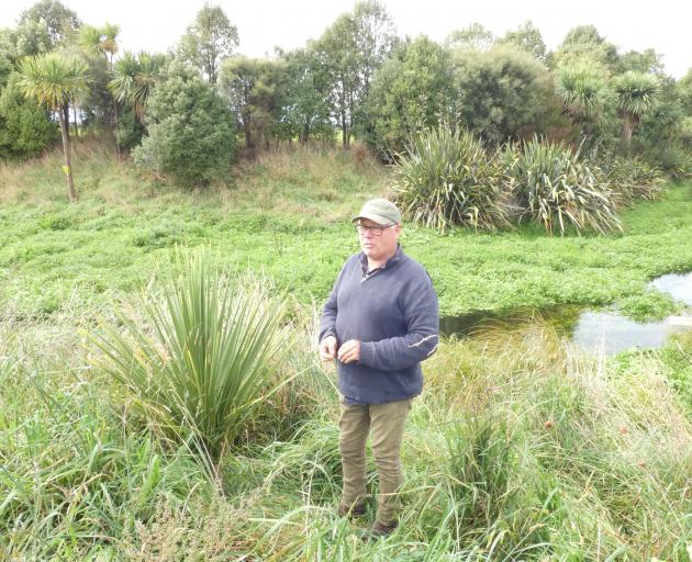 Tim Chamberlain’s family has invested heavily in riparian planting of native trees and shrubs...