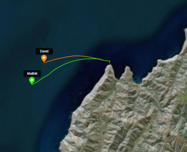 Click the image to track David Hutchinson's swim