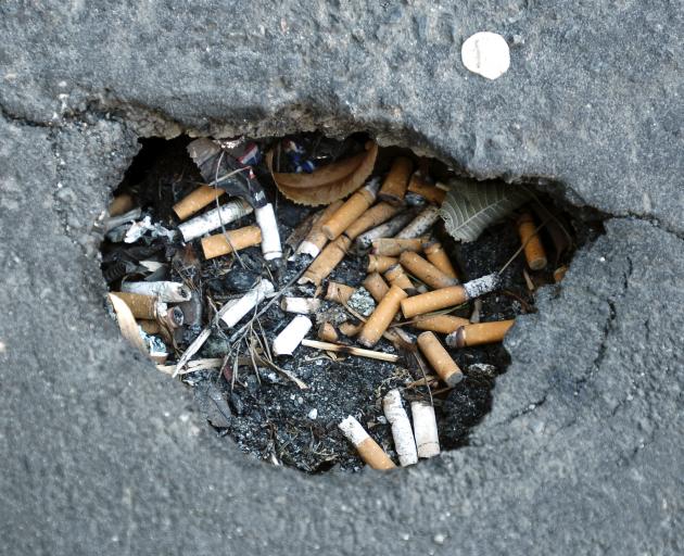 Discarded butts on a Dunedin street.