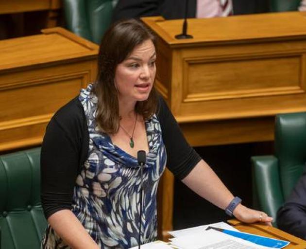 Associate Transport Minister Julie Anne Genter says she wrote a letter about Let's Get Wellington...