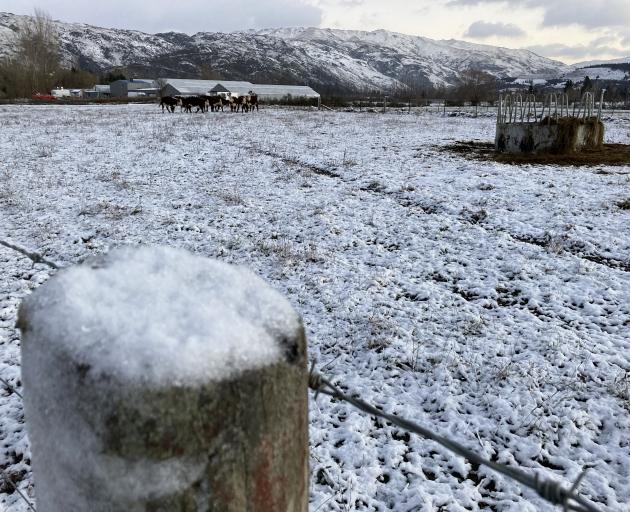 Snow in Earnscleugh this morning. Photo: Mary-Jo Tohill Snow in Earnscleugh this morning. Photo: Mary-Jo Tohill