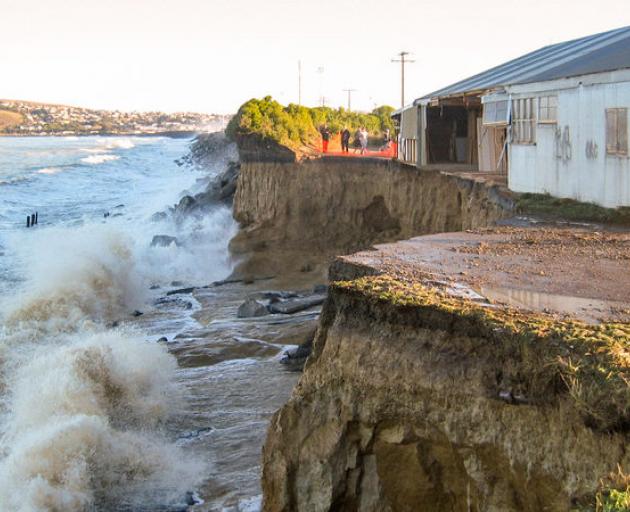 In June 2007, the coastal cliffs at Oamaru lost a lot of ground, including a conservation area...