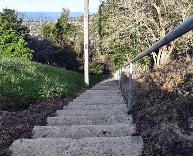 The steps down to Caversham from the corner of Elgin Rd and Warwick St. Photo: Peter McIntosh 