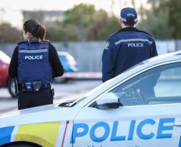 Photo: RNZ/Nathan Mckinnon