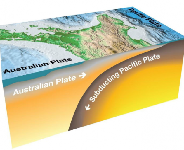 The Hikurangi subduction zone is where the Pacific tectonic plate subducts - or dives underneath ...