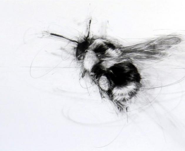 “Bombus Edwardsii”, by April Coppini