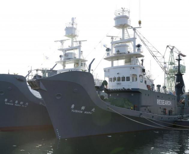 Whaling vessels the Yushin Maru and Yushin Maru No.2 are taking part in the hunt. Photo: REUTERS/Kyodo  