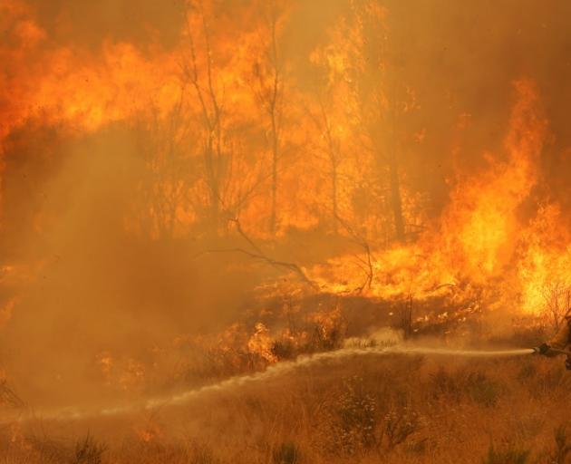 A firefighter battle flames in the Angeles National Forest. Photo: Reuters