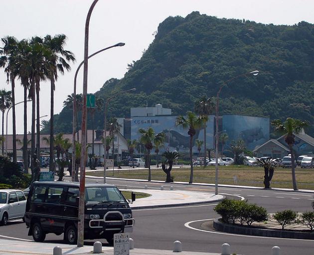 The Taiji Whale Museum. Photo: Wikimedia Commons