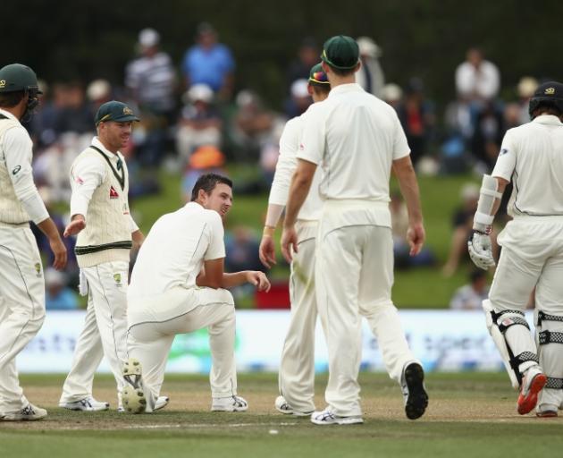 A disappointed Josh Hazlewood (kneeling) after Kane Williamson was given not out. Photo: Getty Images 