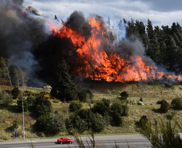 Crews battle the blaze on Saddle Hill yesterday. Photo by Peter McIntosh