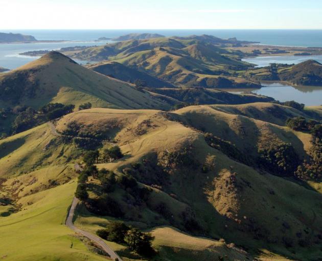 The lumps and bumps of Otago Peninsula tell a story of upheaval going back millions of years.  PHOTO: STEPHEN JAQUIERY