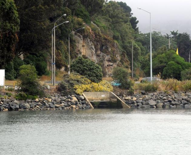 Testing of water from Otago Harbour in recent years has provided a picture of the impact of discharges. Photo: Craig Baxter