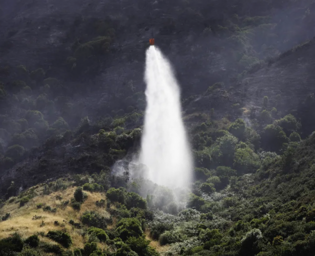 A helicopter with a monsoon bucket dumps water on the Titahi Bay fire. Photo: RNZ / Angus Dreaver