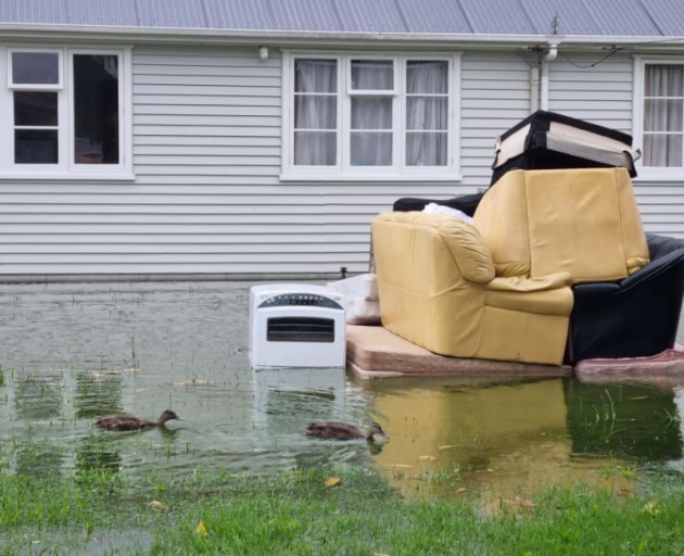 Ducks take a paddle past furniture on a sodden lawn in Mount Roskill. Photo: RNZ / Rayssa Almeida