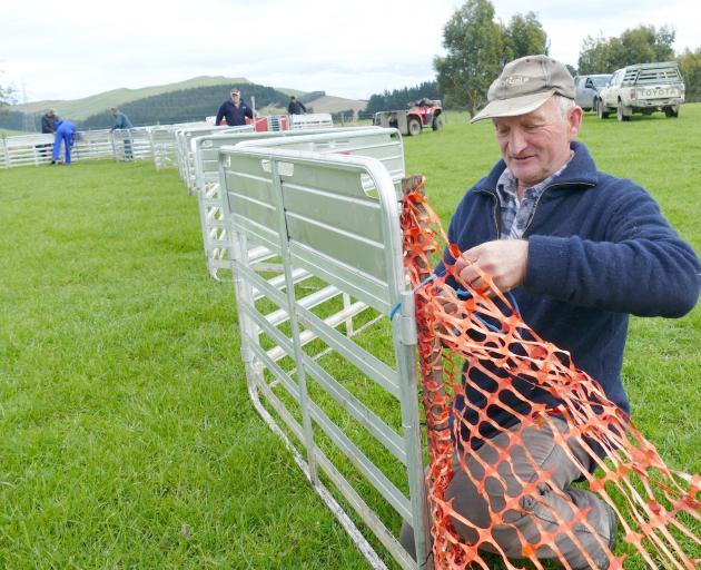 Clinton Lions member Steve Wilson, of Kuriwao, helps set up the tailing pen during the club's fundraising tailing drive in Slopedown earlier this month. Photo: Richard Davison