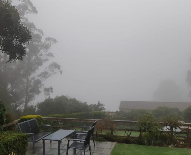 It was a murky morning at The Cove and Otago Harbour was out of sight. Photo: Paula Cooper