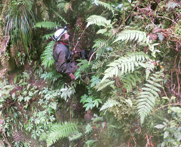 Coast Cave and Vertical Rescue volunteer Karen Grant said rescuers tracked the dog to a hole which was a 90-minute walk from the helicopter landing site. Photo: Hayden Miller Coast Cave and Vertical Rescue volunteer Karen Grant said rescuers tracked the dog to a hole which was a 90-minute walk from the helicopter landing site. Photo: Hayden Miller