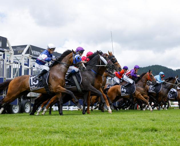 Horses leap out of the starting gate at Trentham. PHOTO: GETTY IMAGES