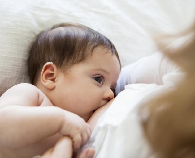 The policy shift brings Wellington into line with Auckland and Christchurch. Photo: Getty Images