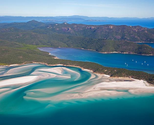 Two men bitten in shark attack off Whitsunday coast