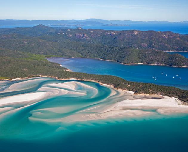 The Whitsundays region has been the site of a number of shark attacks in the last year. Photo:...