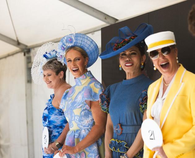 Photo: IRT New Zealand Trotting Cup Day