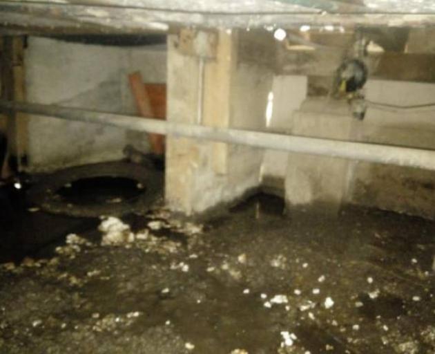 Water pooling underneath the Papakura home. Photo: supplied via NZ Herald