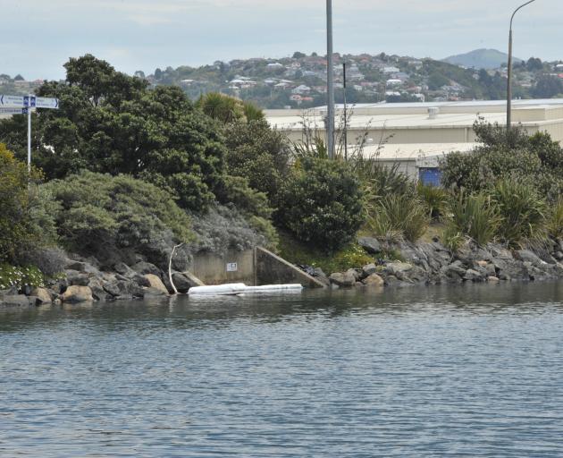 Sorbent booms are being used to stop the spread of the diesel. Photos: Gregor Richardson