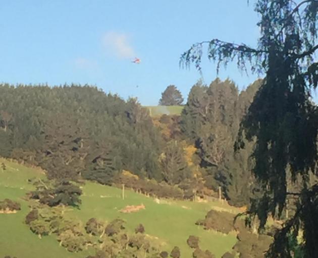 A helicopter drops water on a fire in pine and gorse near Orokonui Ecosanctuary. Photo: Arani...