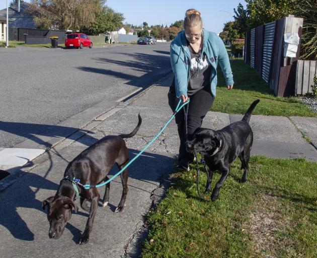 Denise walking Sophie and Molly. Photo: Geoff Sloan