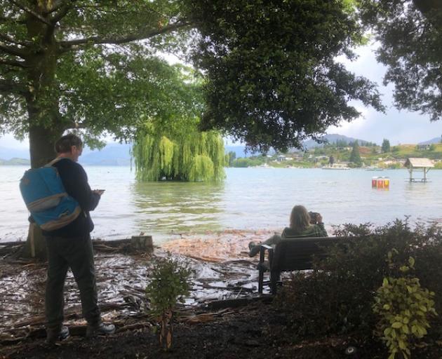 Access to the popular Wanaka tree attraction is difficult. Photo: Kerrie Waterworth
