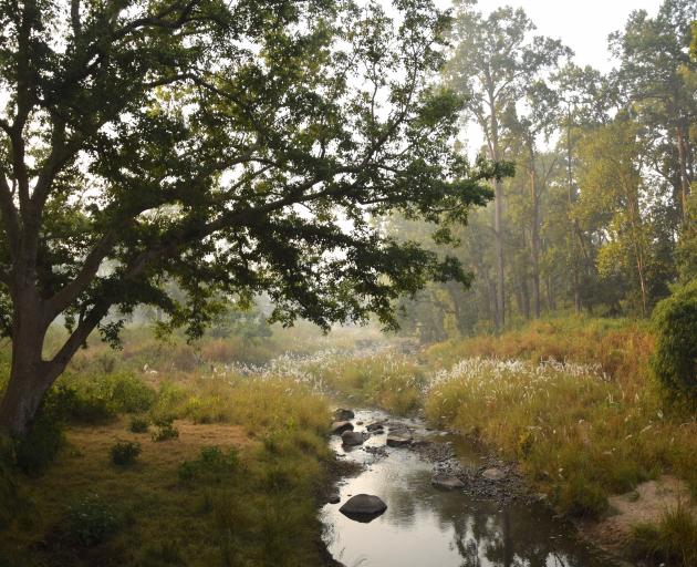 Kanha National Park was one of the first wildlife reserves set up in the 1970s under conservation...