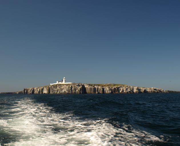 Inner Farne Island PHOTO: WIKIMEDIA COMMONS
