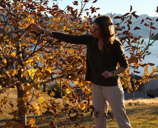 Rose Langbein collects some hazelnuts. PHOTOS: SUPPLIED