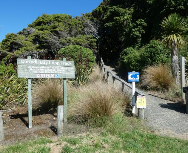 Daffodil Bay Loop track 