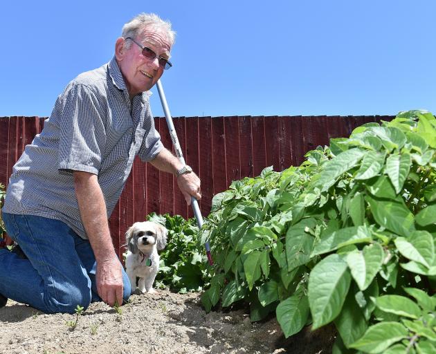 Rod McGregor is grateful for a life-saving double-lung transplant. His dog Molly helps with...