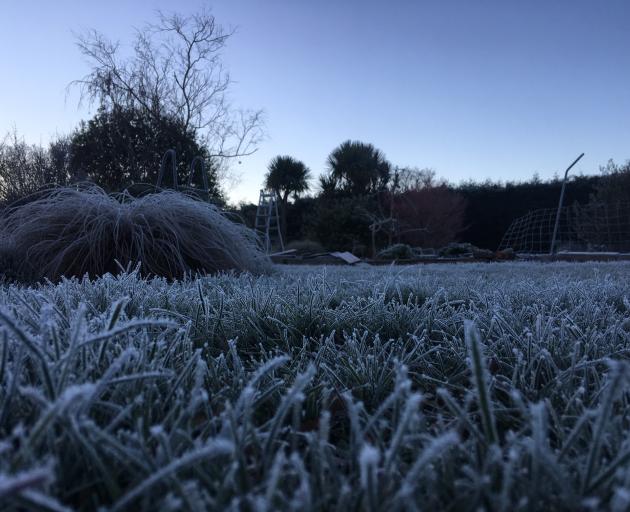 A frosty Millers Flat which was still below 0degC by 9am today. Photo: supplied 