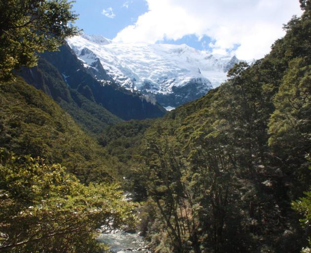 The Rob Roy Glacier as seen from the lower lookout on the Rob Roy Glacier track. Photo: ODT files