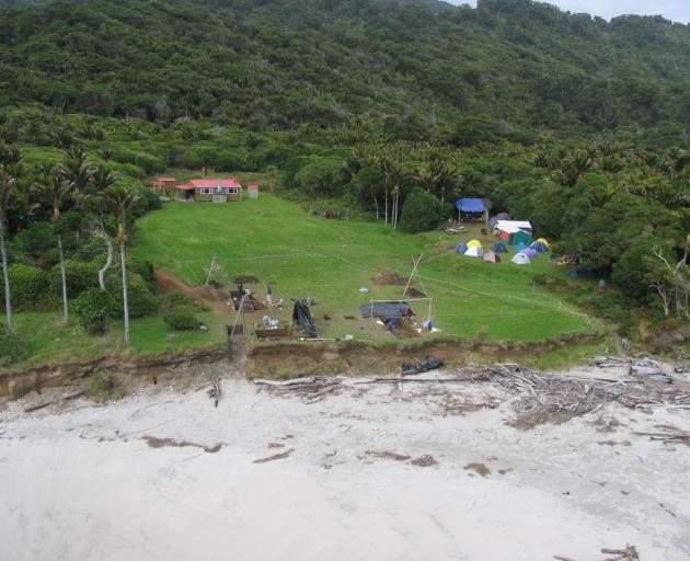 An excavation at Cooks Cove, Tolaga Bay, at a site that spans the New Zealand sequence from...