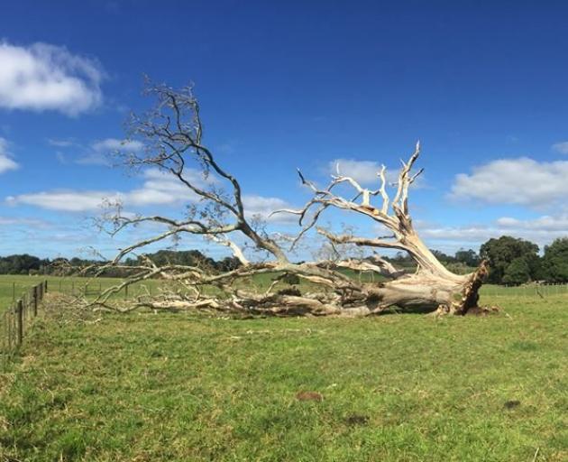 PHOTO: HERITAGE NEW ZEALAND
