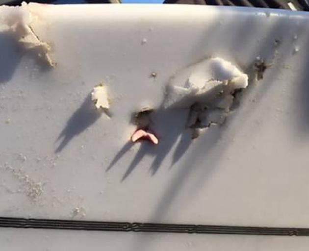 A shark tooth embedded in the surfboard belonging to the Whangaeri man. Photo: supplied via NZ...