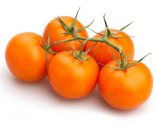 Orange tomatoes. Photo: Getty Images 