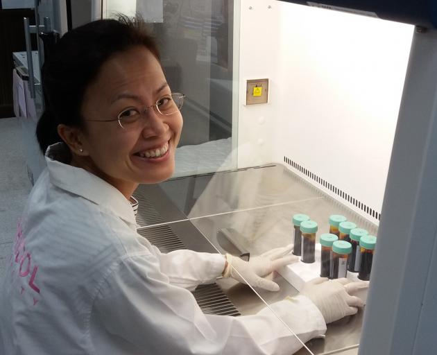 University of Otago PhD student Adeline Chua processing cord blood for malaria culture. Photo:...