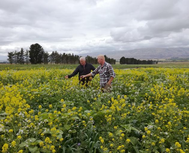 Peter Barret from Central Otago (right) with Southland farmer, Colin Matheson, who came to find...